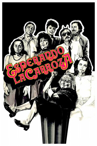 poster Esperando la carroza&nbsp;&nbsp;(1985)